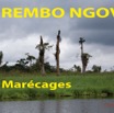 103 Titre Photos Rembo Ngove Marecages-02.jpg